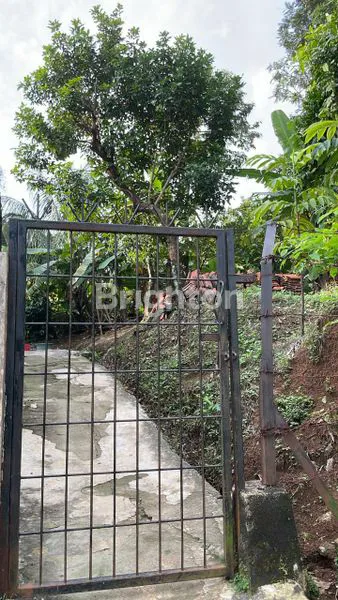 image TANAH DIJUAL AREA BOJONGGEDE, PABUARAN. KAB. BOGOR (1)