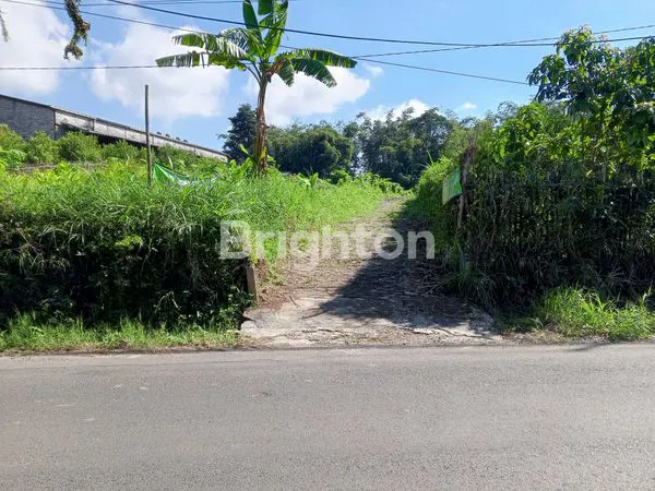 image TANAH MURAH JAUH DI BAWAH HARGA PASAR (1)