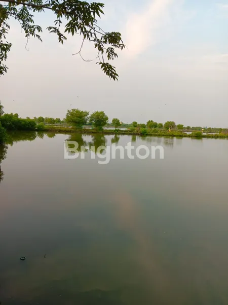 image DIJUAL LAHAN MANYAR GRESIK DEKAT JIIPE GRESIK, LOKASI BAGUS STRATEGIS, AKSES KONTAINER (1)