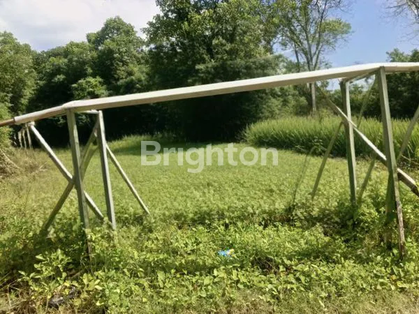 image INVESTASI EMAS! TANAH 11 ARE SHM DI KAWASAN PREMIUM DEKAT BANDARA NGURAH RAI  (3)