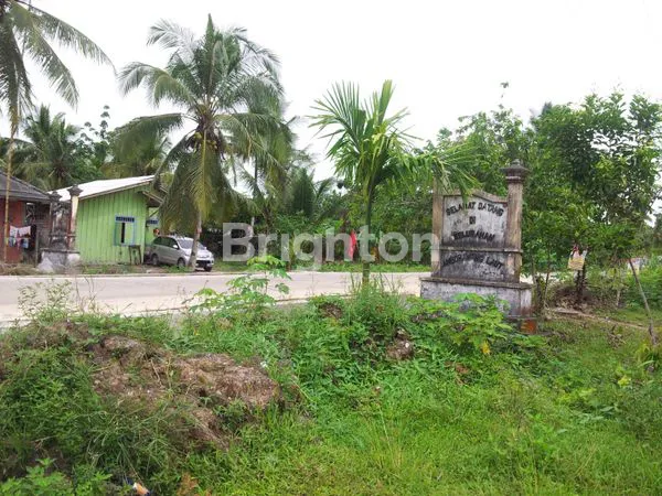 image [FOR SALE] TANAH KAVLING STRATEGIS DEKAT TOL IKN & REKREASI PANTAI – INVESTASI CERDAS! (4)