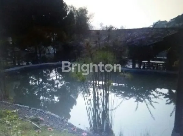 image HOT PROPERTY! RESORT DI CIPANAS,  KAMPUNG KATINEUNG, DEKAT TAMAN BUNGA, OMZET RUTIN DARI REDDOORZ DAN MASIH ADA LAHAN PENGEMBANGAN (8)