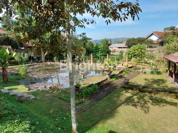 image HOT PROPERTY! RESORT DI CIPANAS,  KAMPUNG KATINEUNG, DEKAT TAMAN BUNGA, OMZET RUTIN DARI REDDOORZ DAN MASIH ADA LAHAN PENGEMBANGAN (6)