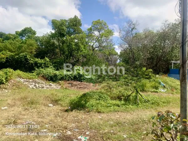 image TANAH DI JUAL 11 ARE TUBAN (1)