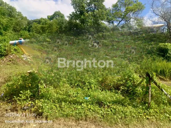 image TANAH DI JUAL 11 ARE TUBAN (2)