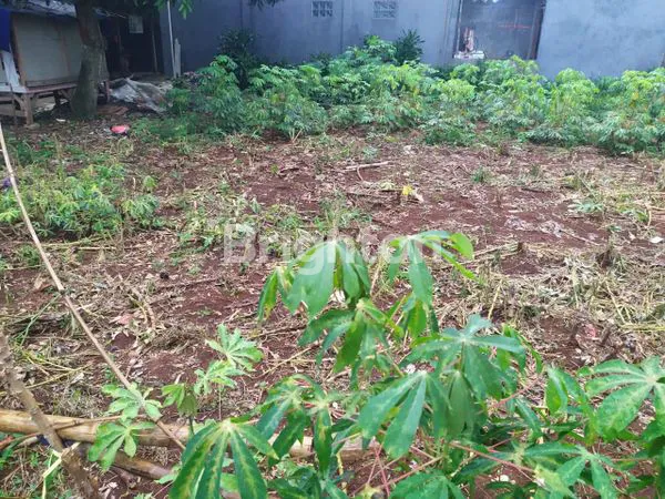 image TANAH DIJUAL BOGOR (4)