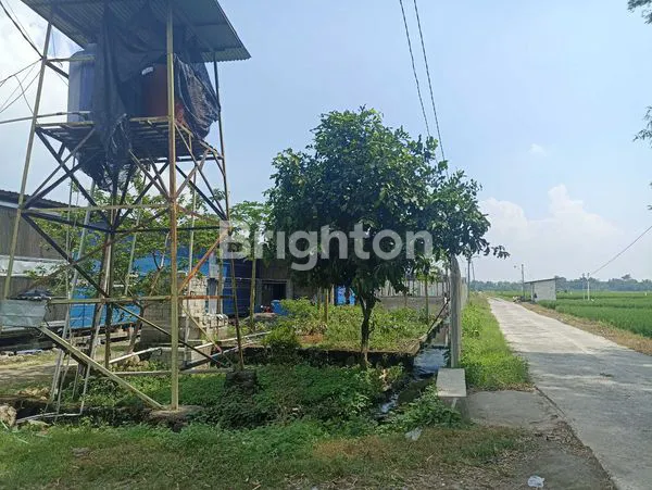 image KANDANG INVESTASI (1)