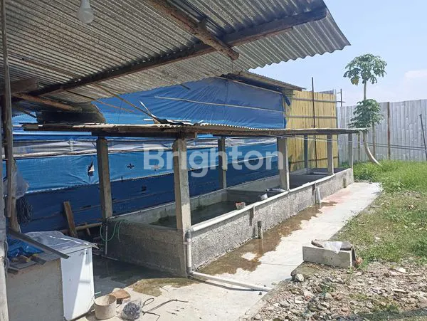 image KANDANG INVESTASI (2)