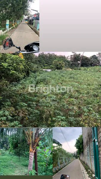 image TANAH DI JUAL DEKAT STADION PAKAN SARI CIBINONG KAB BOGOR (1)