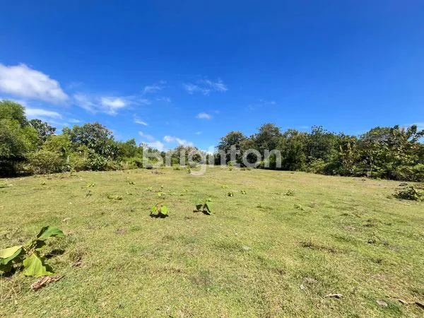 image DIJUAL TANAH 96 ARE DI KAWASAN PURI GADING JIMBARAN LOKASI KOMPLEK VILLA DAN PERUMAHAN ELIT JIMBARAN -BALI (5)
