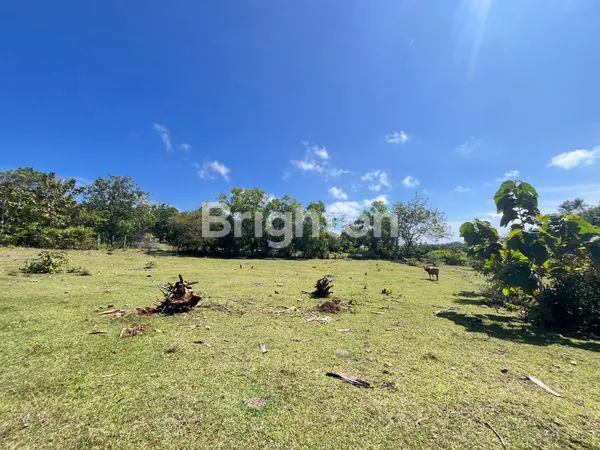 image DIJUAL TANAH 96 ARE DI KAWASAN PURI GADING JIMBARAN LOKASI KOMPLEK VILLA DAN PERUMAHAN ELIT JIMBARAN -BALI (4)