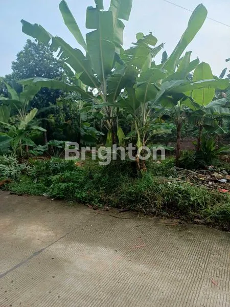 image TANAH STRATEGIS 410M2 DI CISAUK ERPAK, HARGA TERJANGKAU (3)