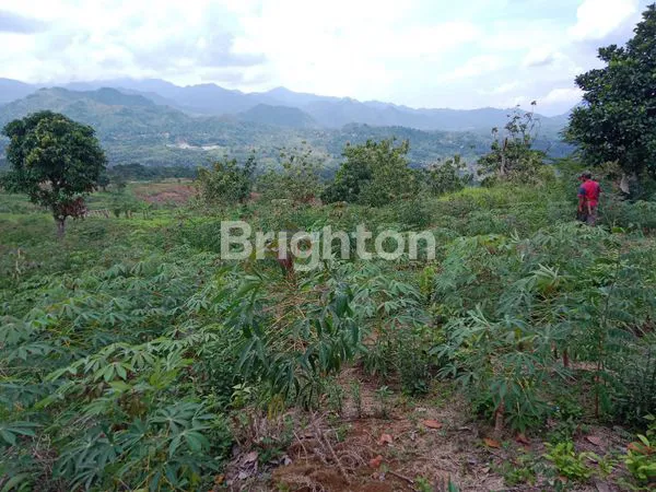 image TANAH LAHAN LUAS DI BOGOR  (5)