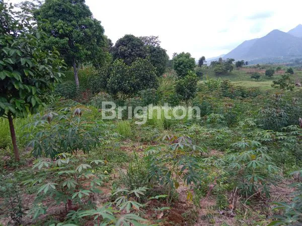 image TANAH LAHAN LUAS DI BOGOR  (6)