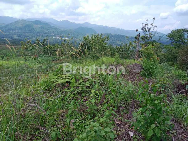 image TANAH LAHAN LUAS DI BOGOR  (7)