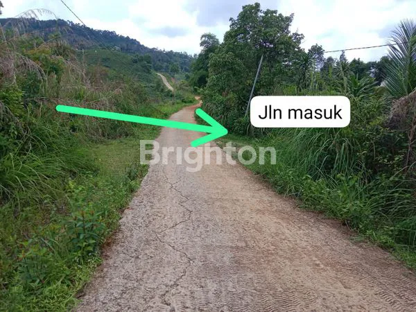 image TANAH LAHAN LUAS DI BOGOR  (1)