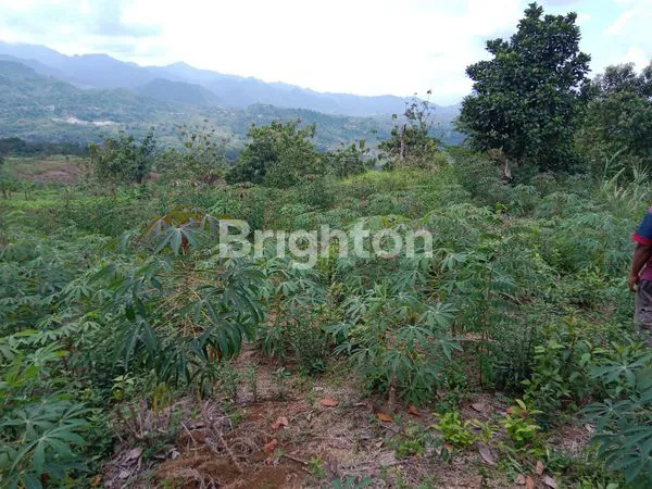 image TANAH LAHAN LUAS DI BOGOR  (3)