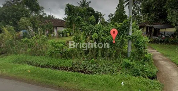 DIJUAL TANAH DI DESA CUPEL, KEC. NEGARA, KAB. JEMBRANA, BALI