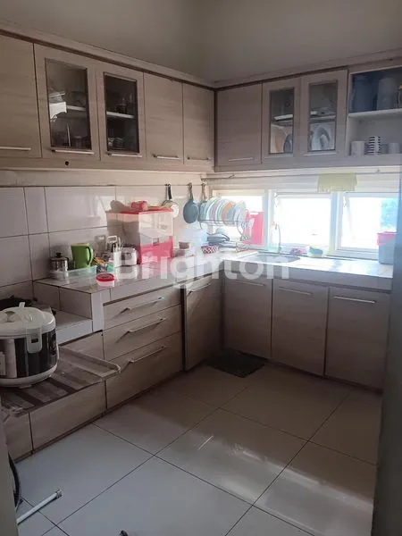 image PERAK BARAT  IKAN LUMBA-LUMBA (4)