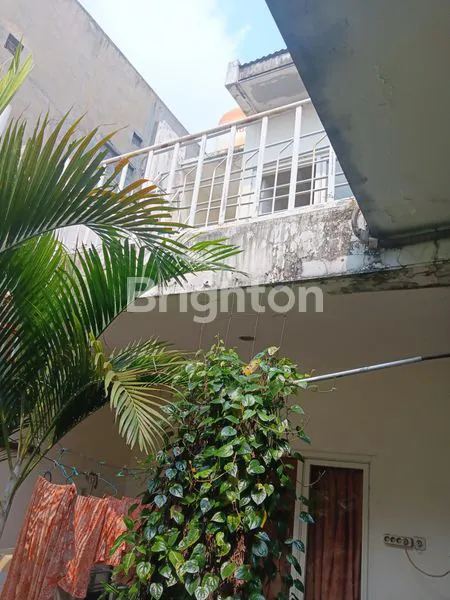 image PERAK BARAT  IKAN LUMBA-LUMBA (8)