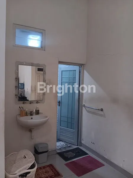 image PERAK BARAT  IKAN LUMBA-LUMBA (7)