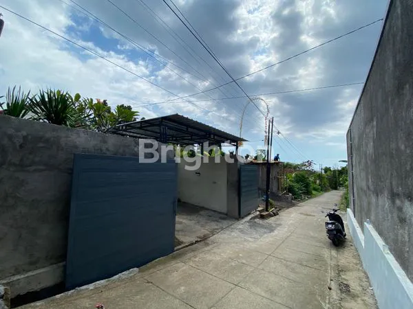 image DISEWAKAN VILLA DI LOVINA SINGARAJA (8)