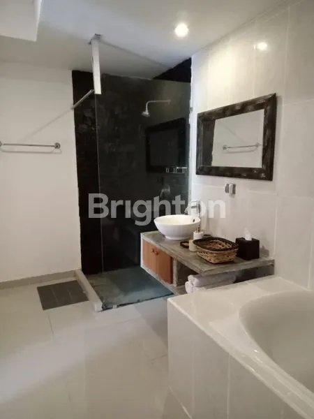 image VILLA 2 BEDROOM LOCATION TIBUBENENG CANGGU (6)