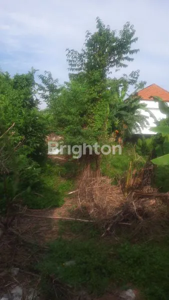 image TANAH DI TUKAD BADUNG (2)