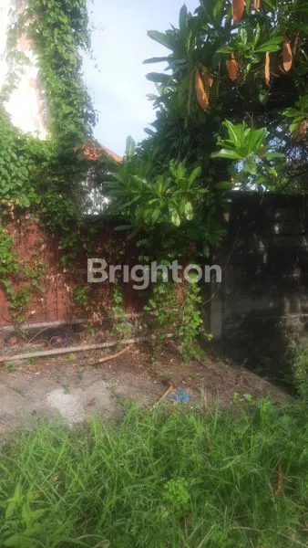 image TANAH DI TUKAD BADUNG (1)
