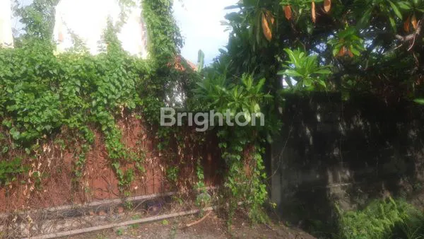 image TANAH DI TUKAD BADUNG (3)