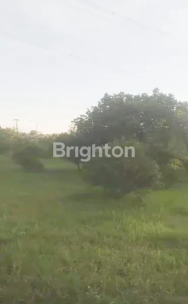 TANAH DI GUNUNG PUTRI,BGOR