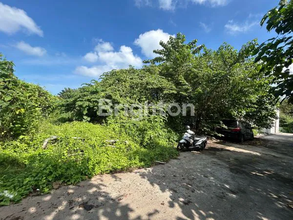 image UMALAS I KUTA UTARA (5)