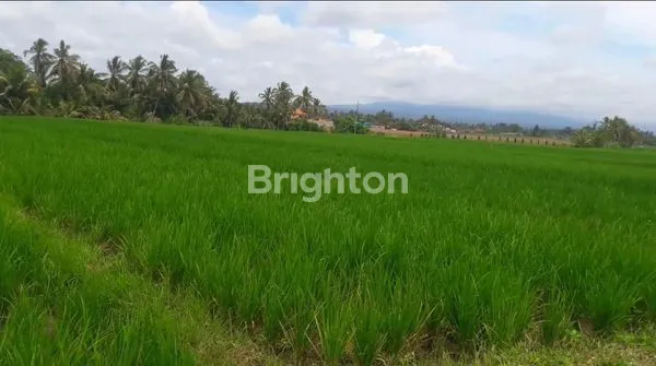 image TANAH 22,5 ARE PRODUKTIF DIJUAL DIBAWAH HARGA PASAR DI KERAMBITAN. (2)