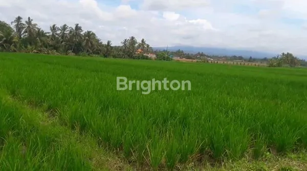 image TANAH 22,5 ARE PRODUKTIF DIJUAL DIBAWAH HARGA PASAR DI KERAMBITAN. (1)