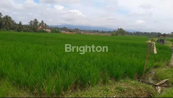 image TANAH 22,5 ARE PRODUKTIF DIJUAL DIBAWAH HARGA PASAR DI KERAMBITAN. (3)