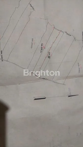 image TANAH 22,5 ARE PRODUKTIF DIJUAL DIBAWAH HARGA PASAR DI KERAMBITAN. (8)