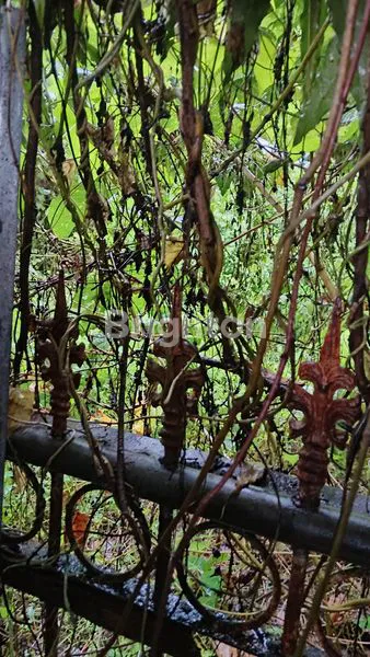 TANAH STRATEGIS 7 ARE DI TENGAH KOTA TABANAN – PINGGIR JALAN UTAMA