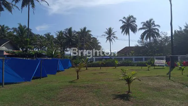 image PANTAI KRUI PESISIR BARAT (6)