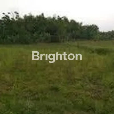 image CIAMIKKK KAVLING CITRALAND HARGA NEGO !!  (1)