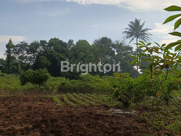 DIJUAL TANAH MURAH DI LOKASI BERKEMBANG
