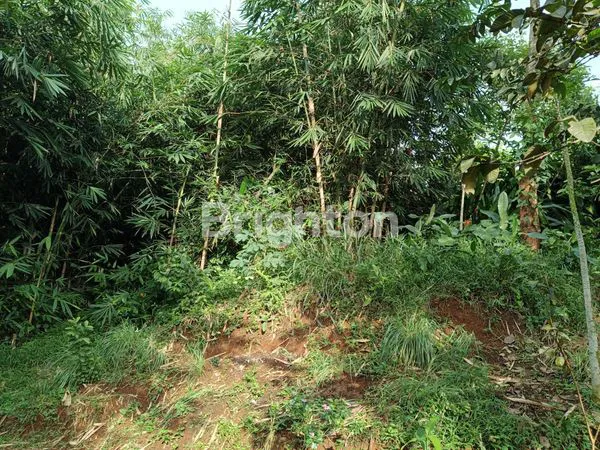 image DIJUAL TANAH STRATEGIS DEKAT BSD & SPRINGHILL YUME GREEN RESIDENCE (1)