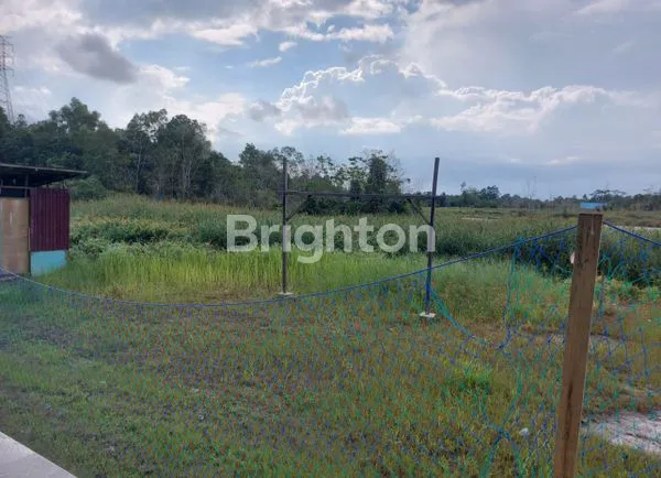 image DIJUAL KAPLING DI BATAKAN , TERBATAS (3)