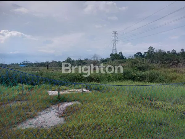 image DIJUAL KAPLING DI BATAKAN , TERBATAS (4)