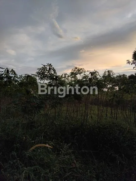 image DIJUAL TANAH DI SENTUL KAB BOGOR . PINGGIR JALAN JALUR WISATA.. (7)