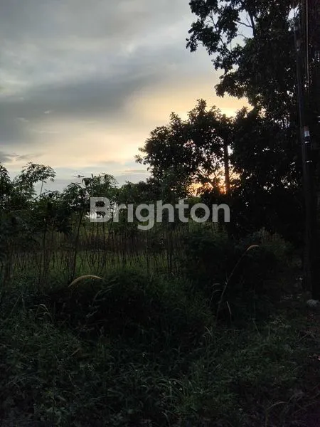 image DIJUAL TANAH DI SENTUL KAB BOGOR . PINGGIR JALAN JALUR WISATA.. (4)