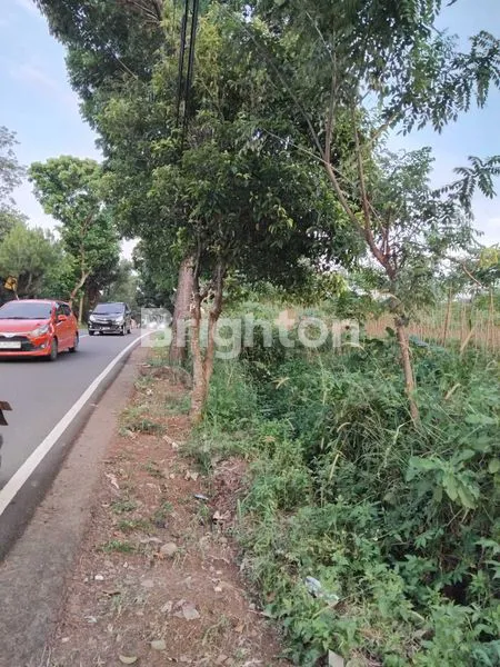 image DIJUAL TANAH DI SENTUL KAB BOGOR . PINGGIR JALAN JALUR WISATA.. (2)