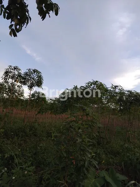 image DIJUAL TANAH DI SENTUL KAB BOGOR . PINGGIR JALAN JALUR WISATA.. (3)