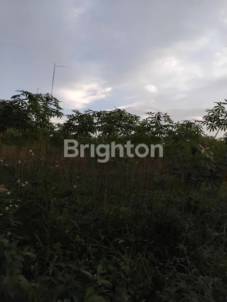 image DIJUAL TANAH DI SENTUL KAB BOGOR . PINGGIR JALAN JALUR WISATA.. (8)