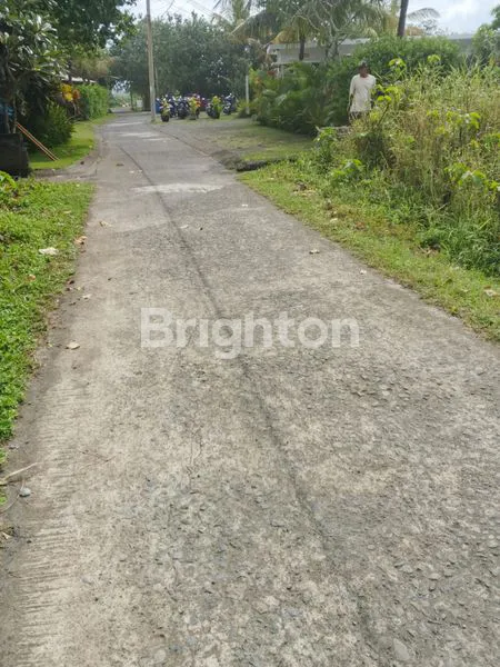 image FOR SALE LAND FRONT BEACH IN MEDEWI JEMBRANA BALI (3)