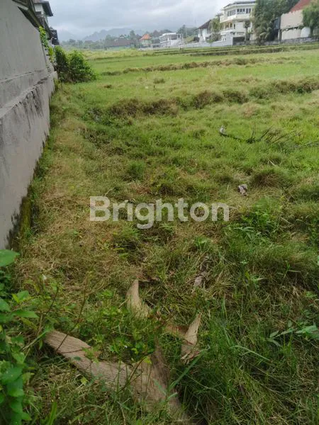 image FOR SALE LAND FRONT BEACH IN MEDEWI JEMBRANA BALI (5)